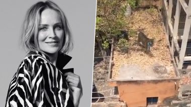 Sharon Stone Shares Video of a Tiger Standing on a Rooftop in India; Twitterati Wonders If It is Real or Edited
