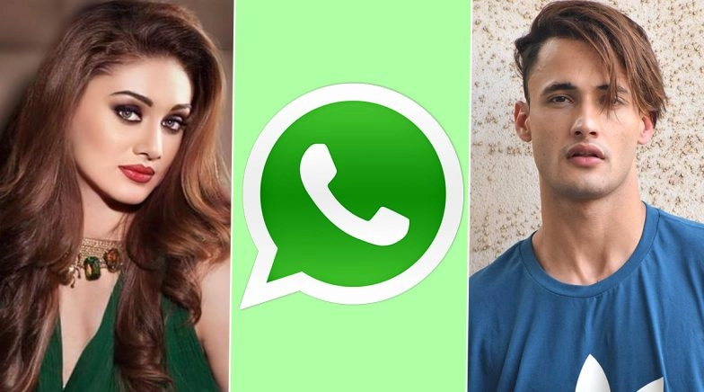 BB 13's Shefali Jariwala Drops A 'WhatsApp' Update And It Involves Asim Riaz!