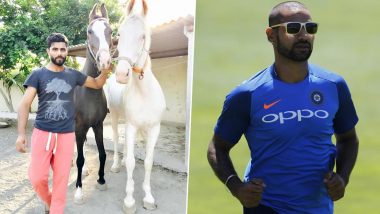 ‘Dono Ride Karengey After Coronavirus’: Shikhar Dhawan Asks Ravindra Jadeja to Go on a Horse Ride With Him After COVID-19 Crisis Is Over