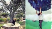 World Earth Day 2020: Bhumi Pednekar, Sonakshi Sinha and More Share Beautiful Posts Celebrating Mother Nature (View Pics and Videos)