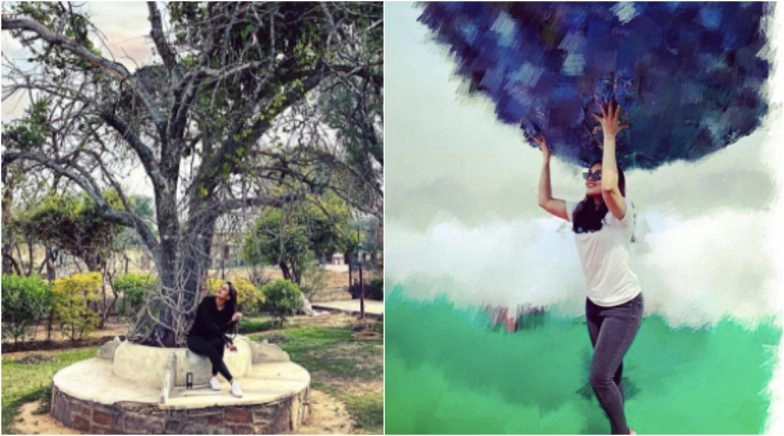 Earth Day 2020: Bhumi Pednekar, Sonakshi Sinha, Sara Ali Khan Share Beautiful Posts