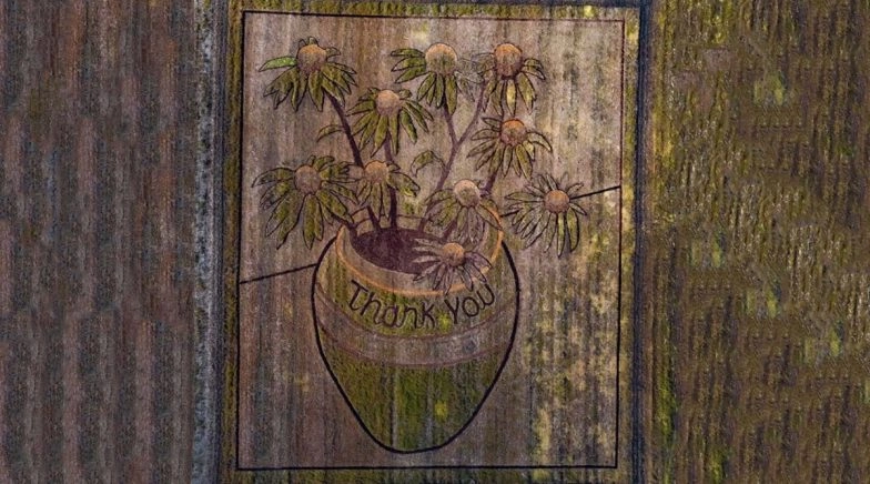 Kansas Artist Pays Tribute to Those Fighting COVID 19 by Crafting ‘Thank You’ in Giant Field 