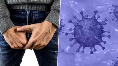 Testicles Make Men More Prone to Coronavirus? Study Based on COVID-19 Patients in Mumbai's Kasturba Hospital Finds Out