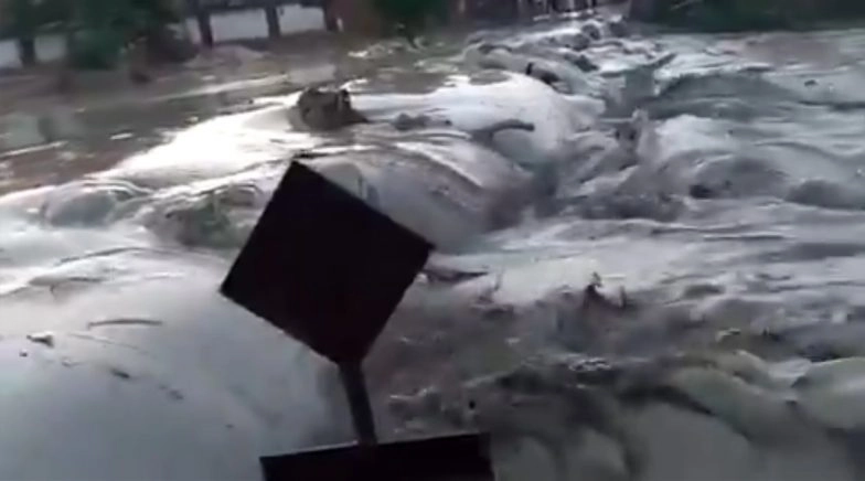 Toxic Ash Leaks From Reliance Power Plant in Madhya Pradesh's Singrauli, Five Swept Away