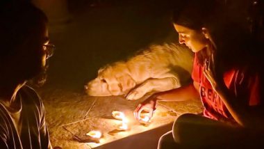 Sachin Tendulkar, Virat Kohli and Suresh Raina Join Sports Fraternity in #9Baje9Minutes Initiative by PM Modi, Light Diyas and Candles to Show Solidarity in Fight Against Coronavirus (See Posts)