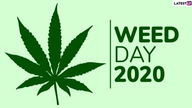 Weed Day 2020 Date: History and Significance Related to 4/20 Celebrations Associated With Marijuana