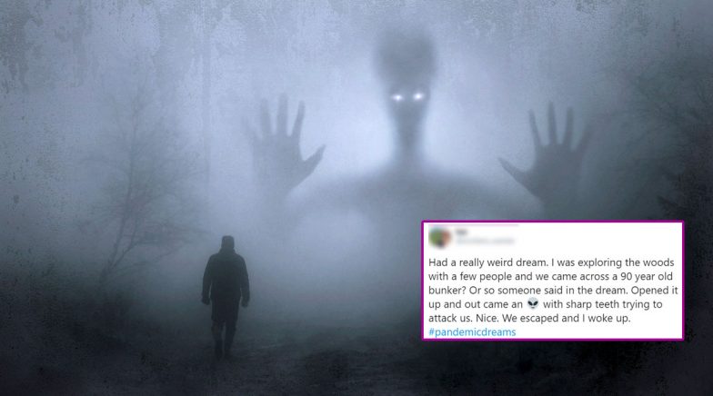 Twitter's Official Account Tweets 'Weird Dream'; Netizens Share The Crazy Stuff They Have Dreamt Of