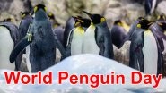 World Penguin Day 2020: Date, Significance to Raise Awareness About These Adorable Tux-Wearing Aquatic Birds