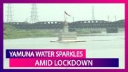 Yamuna River Water Quality Improves, Turns Blue, Looks Cleaner, Amid Coronavirus Lockdown