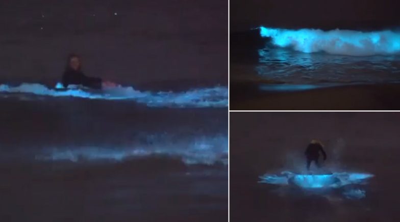 Video Beachgoers frolic in electric blue bioluminescent water