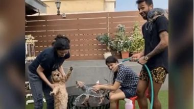 Hardik Pandya and Natasa Stankovic Bathe Their Pet Dogs, The Adorable Video Wins the Internet