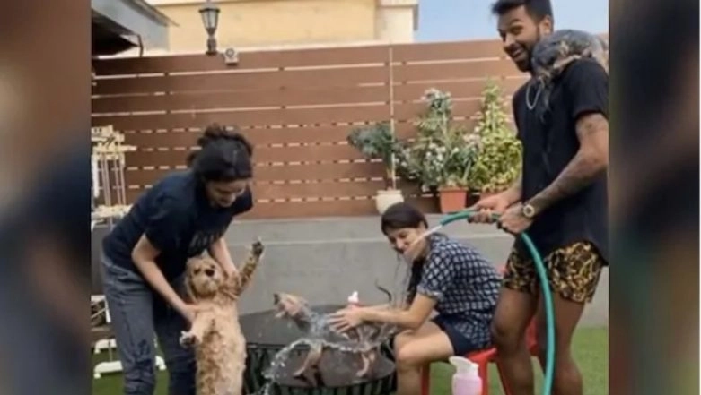 Hardik Pandya and Natasa Stankovic Bathe Their Pet Dogs