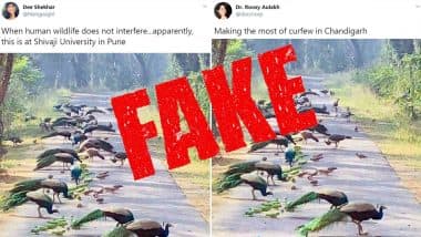 Fact Check: Picture of Peacocks and Parrots Gathered Together is From Lockdown in Chandigarh, BHU or Coimbatore? Know Truth About The Viral Image