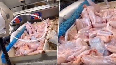 Moving 'Frog Meat' Caught on Camera! After Zombie Chicken, Freaky Video Captures Raw Uncooked Frog Coming to Life