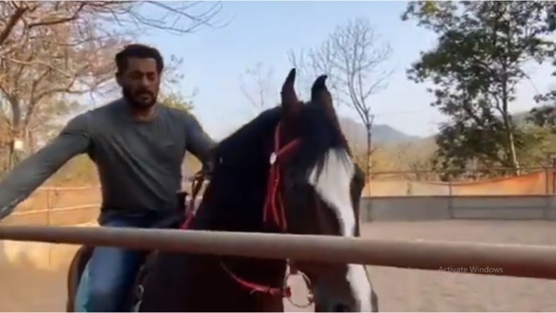 Salman Khan Jokes He Is in 'Self Horse-Olation' as He Spends the Day Horse-Riding  (Watch Video)