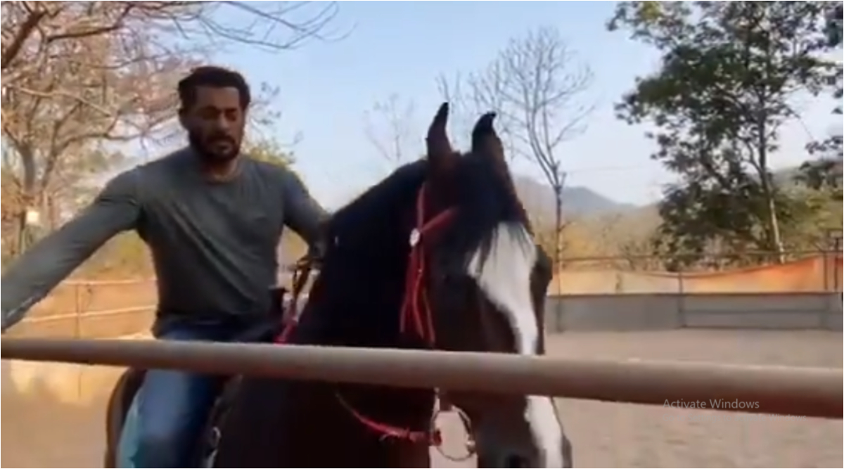 Salman Khan Jokes He Is in 'Self Horse-Olation' as He Spends the Day Horse-Riding  (Watch Video)