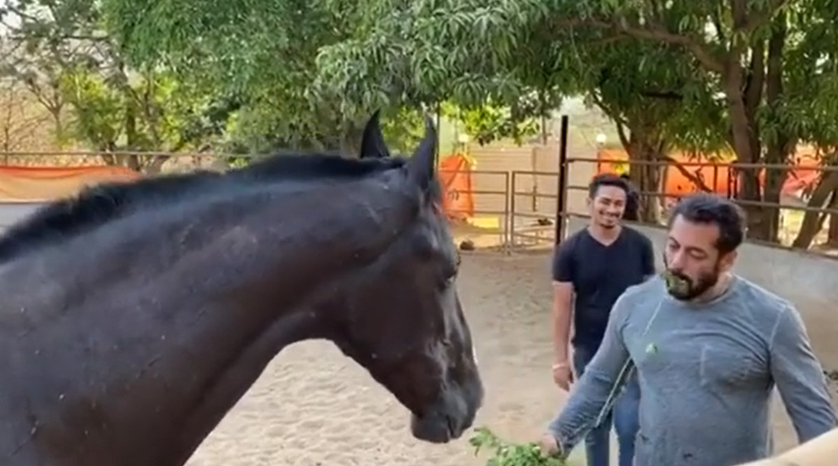 Salman Khan Eats Grass With His Horse And We Have Seen Everything Now (Watch Video)