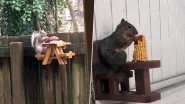 People in Quarantine Make Picnic Tables for Squirrels As Pastime and the Results Are Adorable! (View Pics)