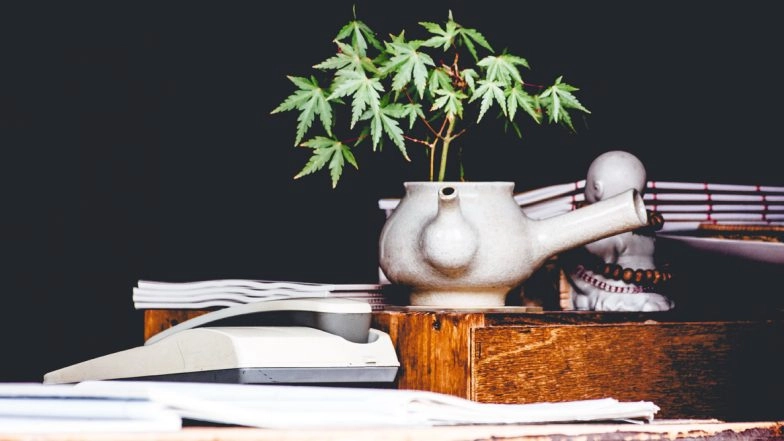 April 2020 Is Full of 4/20, but During Pandemic, Stoners Should Avoid Smoking Pot! Know Why