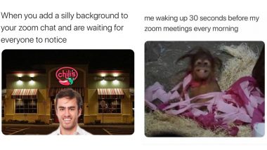 Zoom Meetings Funny Memes: These Hilarious Jokes Perfectly Sum Up the Video  Conferencing Calls While We Continue WFH | 👍 LatestLY
