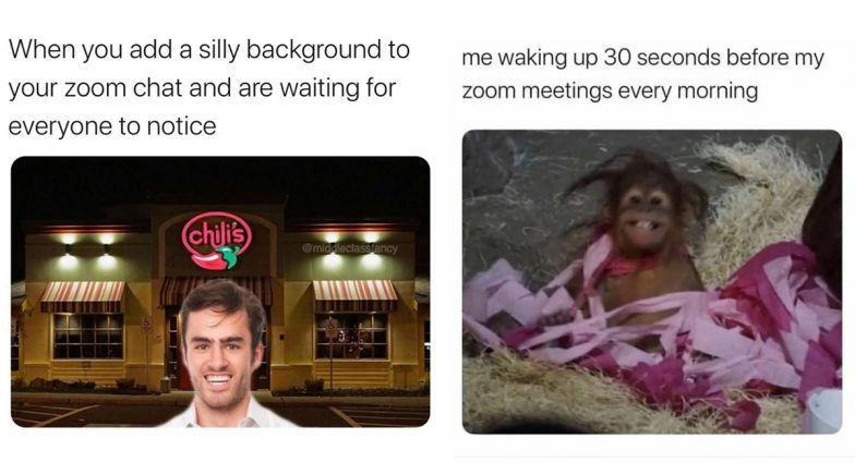 These Funny Zoom Meetings Memes Perfectly Sum Up the Video Conferencing Calls While We Continue WFH