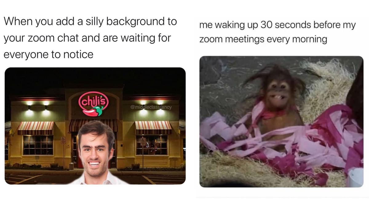 zoom meeting memes