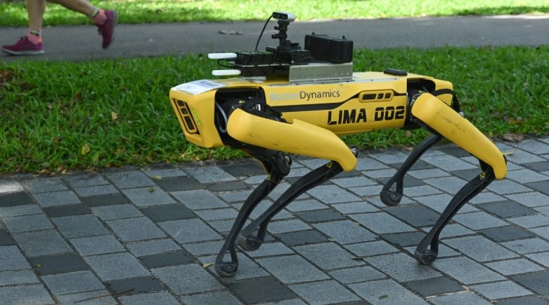 Robot Dog 'Spot' Ensures People Follow Social Distancing in Park (Watch Video)