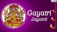 Gayatri Jayanti 2021 Wishes: Netizens&rsquo; Share Latest Greetings, Messages, HD Images and Wallpaper on Twitter to Observe the Day that Celebrates the Birth of Goddess Gayatri
