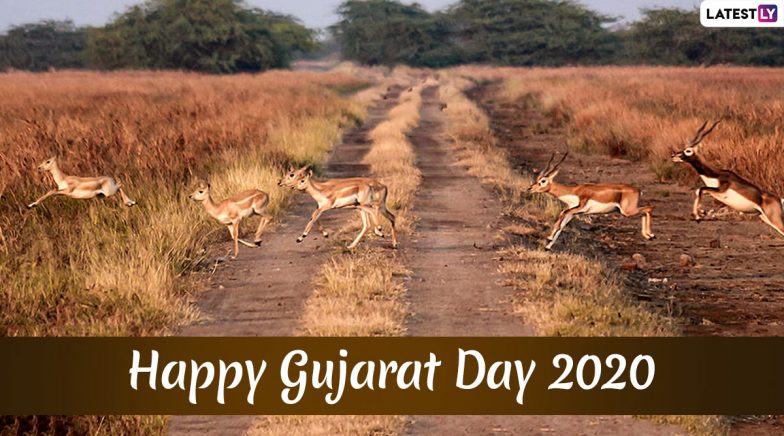 Happy Gujarat Day 2020 HD Images and Wishes to Send Gujarat Sthapana Divas Greetings on May 1 