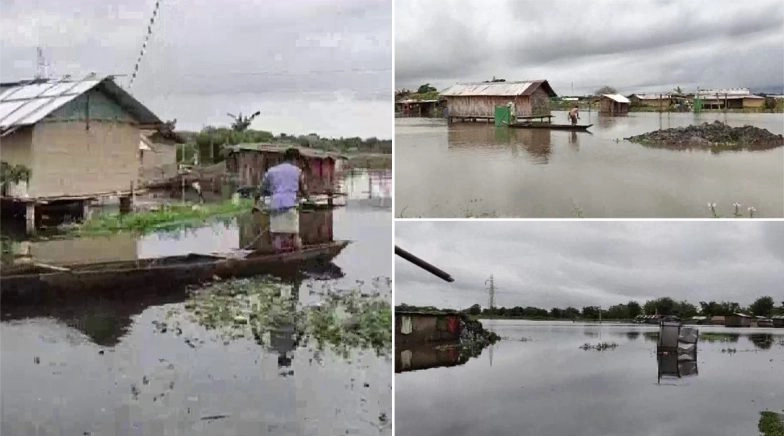 Assam Floods: 7 Districts Affected, Goalpara Worst-Hit, Meghalaya on Alert 