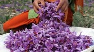 Kashmiri Saffron From Jammu and Kashmir Gets Geographical Indication (GI) Tag