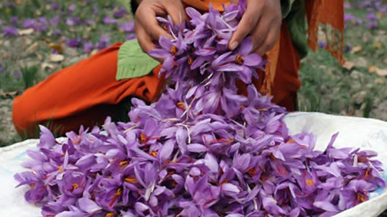 Kashmiri Saffron From Jammu and Kashmir Gets Geographical Indication (GI) Tag