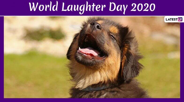 World Laughter Day 2020 Images & HD Wallpapers for Free Download: Wish Your Loved Ones with These Quotes, Messages, Pictures & GIFs to Celebrate The Day | LatestLY World Laughter Day 2020 Images & HD Wallpapers for Free Download: Wish Your Loved Ones with These Quotes, Messages, Pictures & GIFs to Celebrate The Day | LatestLY
