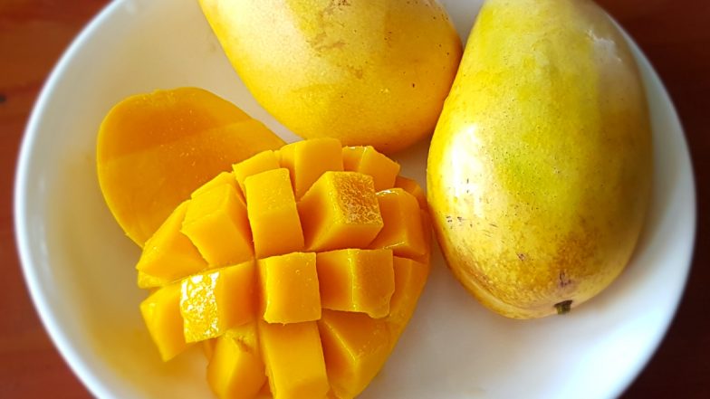 Mango Museum To Come Up at Central Institute for Subtropical Horticulture Office in Lucknow