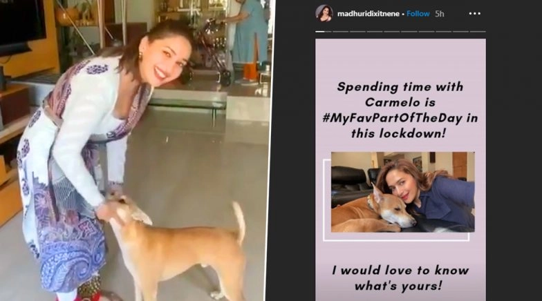 Lockdown Diaries: Madhuri Dixit Spends Time With Her Pet Dog Carmelo (View Pic)