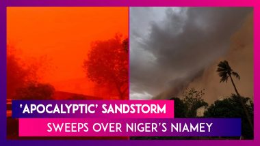 Massive ‘Apocalyptic’ Sandstorm Sweeps Over Niger’s Niamey, Paints The Sky Red; Watch Dramatic Videos Of The Storm Unfolding