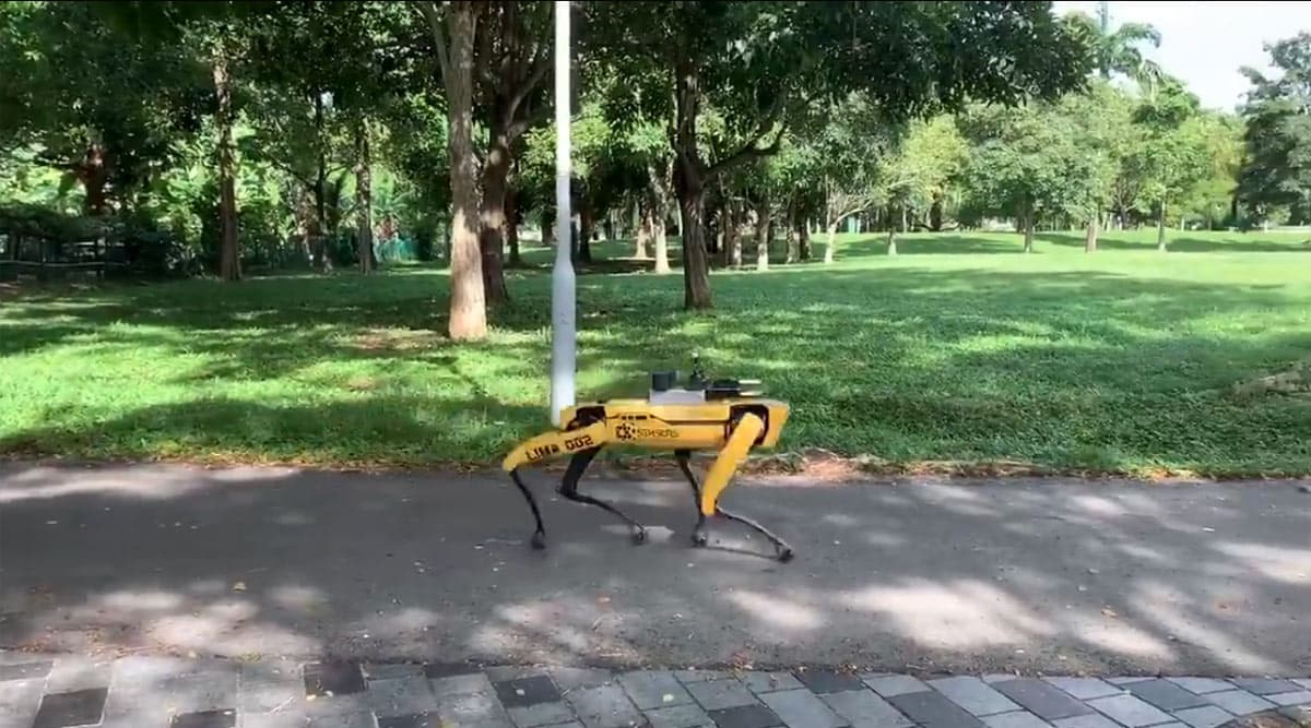 Spot, the Four-Legged Patrolling Robot Will Now Remind People About Social Distancing Measures