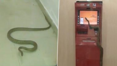 Viral Video of a Huge Snake Inside an ATM Vestibule in Ghaziabad Is Sending Chills down the Spine of Netizens