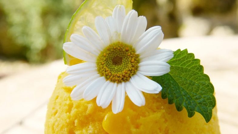 Easy Mango Ice-Cream Recipe: Here's How to Make a Simple 3-Ingredient Dessert Using the King of Fruits at Home amid Lockdown (Watch Video)