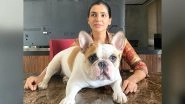 Samantha Akkineni Says She &lsquo;Failed as a Mom&rsquo; After Getting Mad at Her Puppy Hash for This Reason