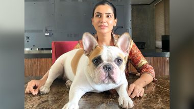 Samantha Akkineni Shares Adorable Pic of Her French Bulldog in Wardrobe (See Pic)