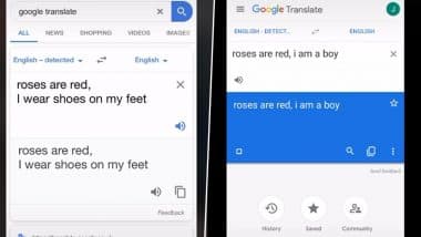 'Roses Are Red' Funny Memes Trend on TikTok Featuring Google Translate Will Make You ROFL Hard; Here's How You Can Be a Part of The Challenge!