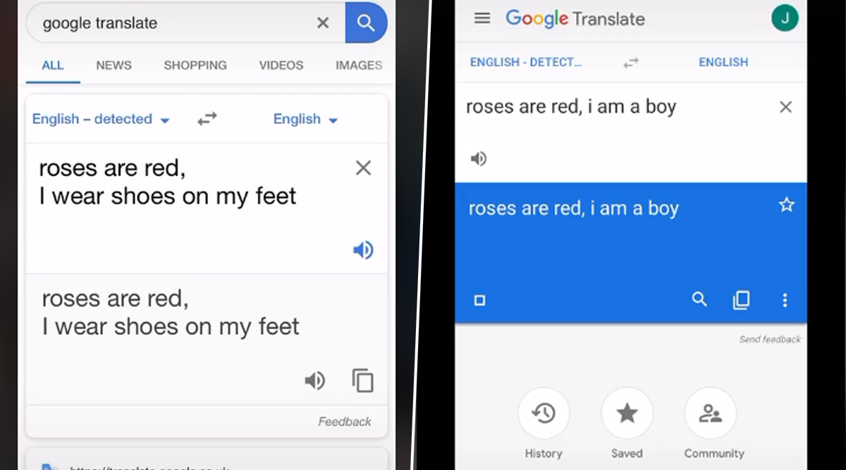 Roses Are Red' Funny Memes Trend on TikTok Featuring Google Translate Will  Make You ROFL Hard; Here's How You Can Be a Part of The Challenge! | 👍  LatestLY
