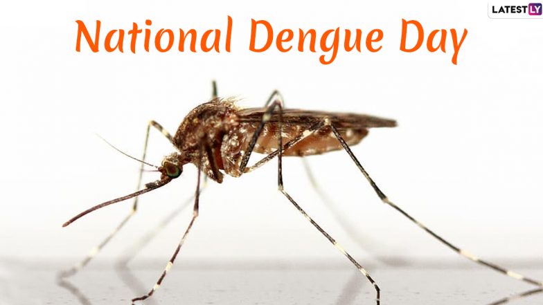 National Dengue Day 2020 Date & Significance: Know More About the Day Dedicated to Spreading Awareness About the Mosquito-Borne Infection