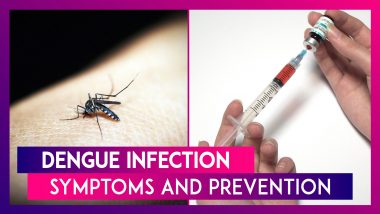 Warning Signs Of Dengue And Precautions To Take Ahead Of Monsoon: National Dengue Day 2020