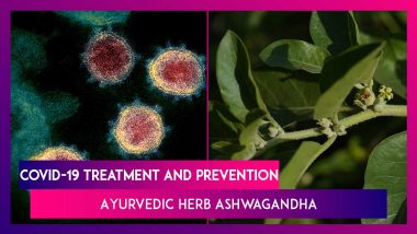 Ashwagandha In Fight Against COVID-19: Know The Benefits Of This Ayurvedic Herb!
