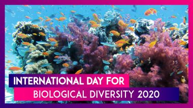 International Day for Biological Diversity 2020: Date, Theme & Significance of World Biodiversity Day