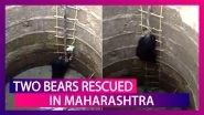 Two Bears Rescued From A Well In Maharashtra, One Climbs Ladder To Come Out; Rescue Video Wins Hearts