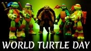 World Turtle Day 2020: From Baby Shelby to Squirtle, Popular Turtle Characters That Will Live in Our Hearts Forever
