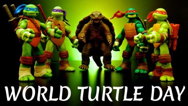 World Turtle Day 2020: From Baby Shelby to Squirtle, Popular Turtle Characters That Will Live in Our Hearts Forever